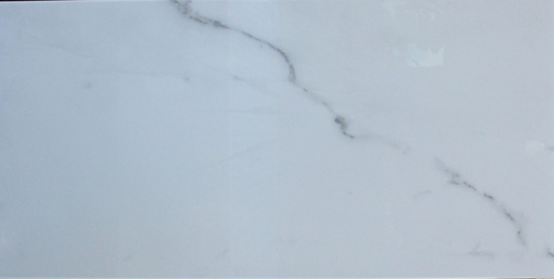 Calacatta Silver Porcelain Tile - Polished - 24" x 48"