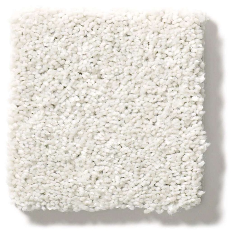 Simply The Best After All I Eggshell Polyester Carpet - Textured