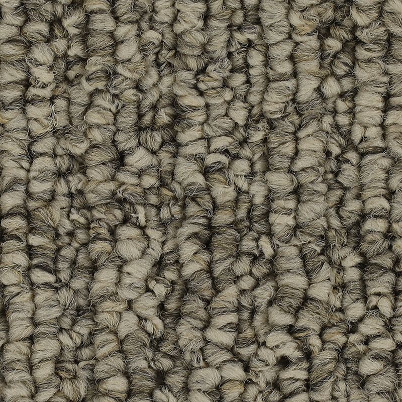 Casual Character Heathery Tint Polyester Carpet - Pattern