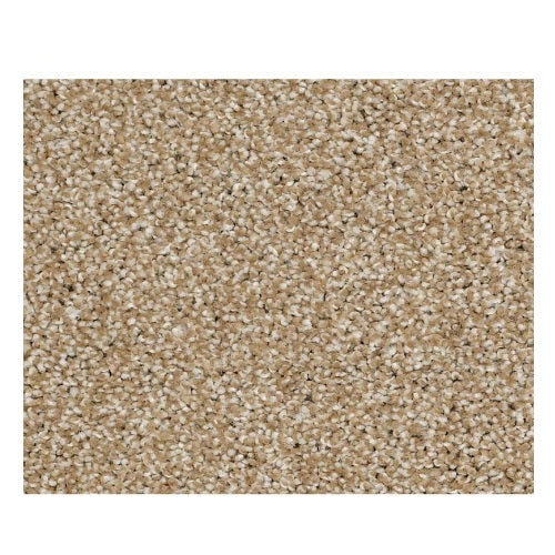 Striking Natural Wood Nylon Carpet - Textured