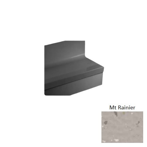 Johnsonite Mt Rainier Bamboo Rubber Stair Tread with Riser