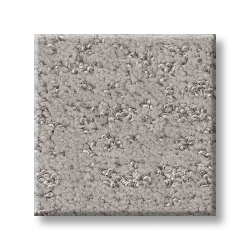 Pet Perfect Plus Home Within Gravity Polyester Carpet