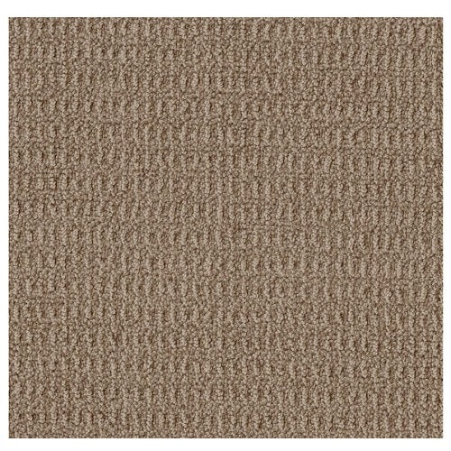 Crystal Cove Plaza Taupe Nylon Carpet - Pattern