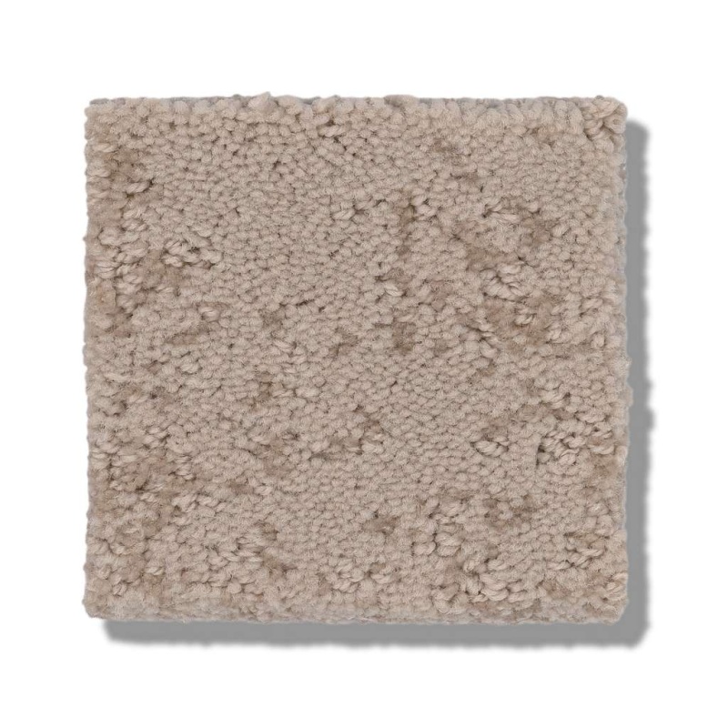 Caress By Shaw Artistic Presence Natural Beauty Nylon Carpet - Pattern