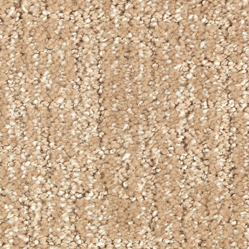 Natural Artistry Brushed Suede Triexta Carpet - Pattern