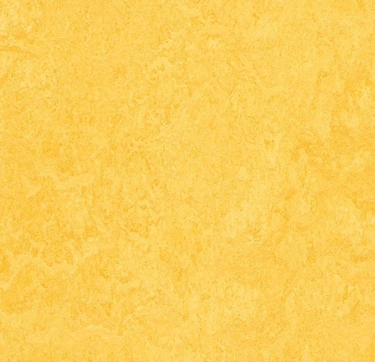 Marmoleum Composition Sheet Mcs Lemon Zest Linoleum - Topshield Pro