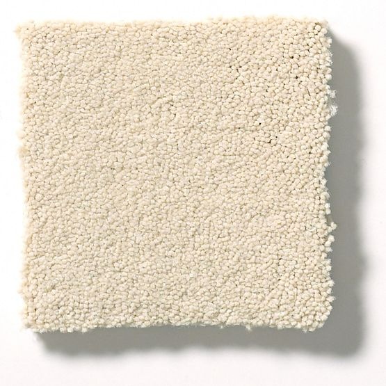 Perfect Choice Windswept Nylon Carpet - Textured