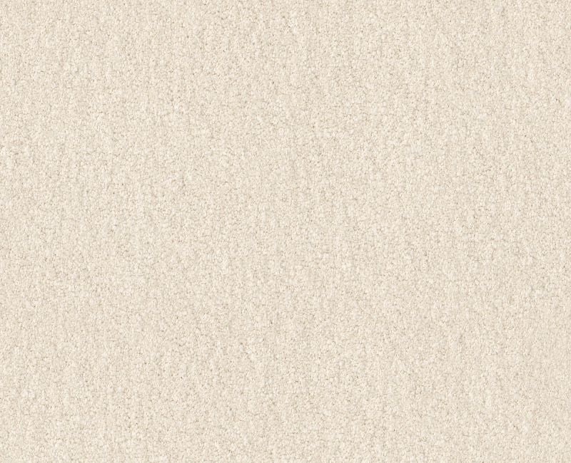 Qs159 12' Sweet Cream Nylon Carpet - Textured