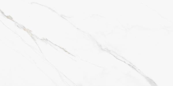 Ever Calacatta Blanco Porcelain Tile - Matte - 12" x 24"