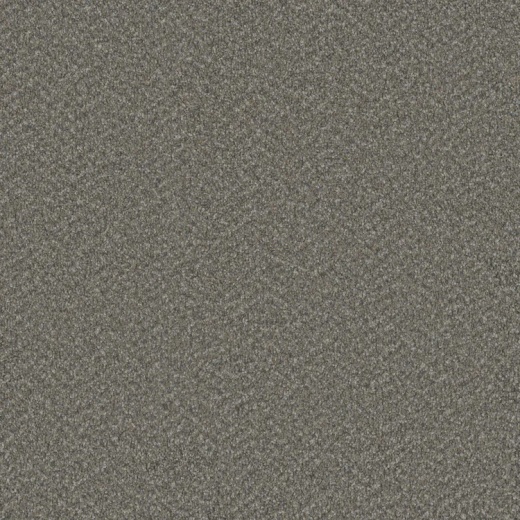 Floorever Succeed Conquer Polyester Carpet - Textured