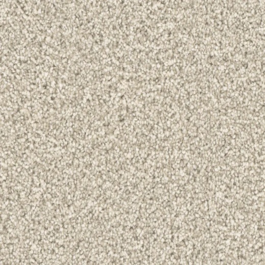 Microban Five Star Champion Polyester Carpet - Textured