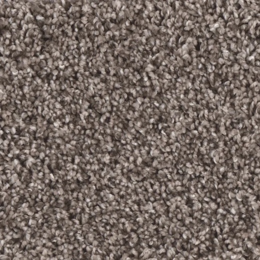 Microban Creekside II Rush Polyester Carpet - Textured