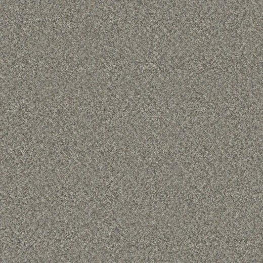 Microban Cashmere Tulle Polyester Carpet - Textured