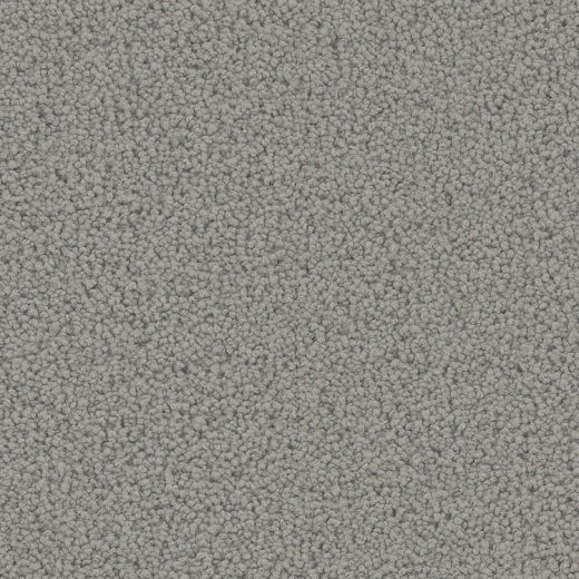 Floorever Petplus Mateo Lavish Polyester Carpet - Textured