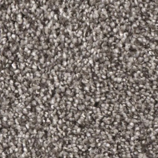 FloorEver PetPlus Idyllic Thrilled Polyester Carpet - Textured