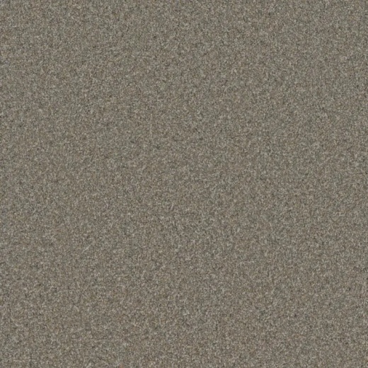 FloorEver Succeed Capture Polyester Carpet - Textured