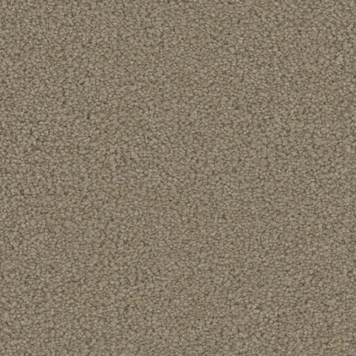 Floorever PetPlus Emerson Seamless Polyester Carpet - Textured