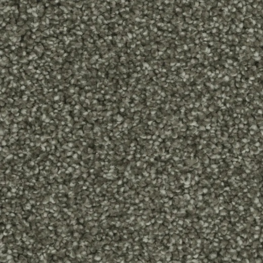 Microban Goals Upbeat Polyester Carpet - Textured