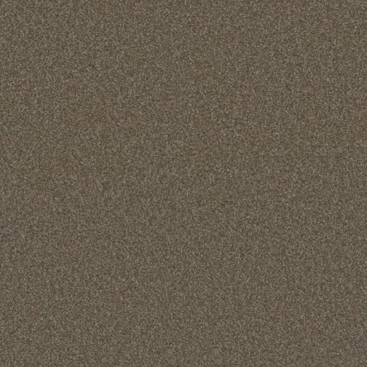 Microban El Dorado Pioneer Polyester Carpet - Textured