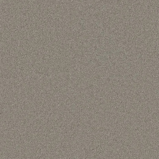Microban El Dorado Ranch Polyester Carpet - Textured