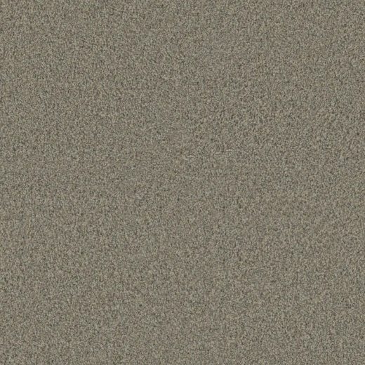 Modern Contours Pristine Natural Polyester Carpet - Textured