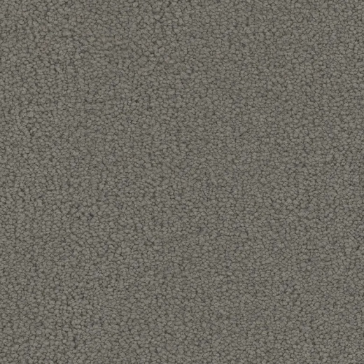 Floorever PetPlus Emerson Masterpiece Polyester Carpet - Textured