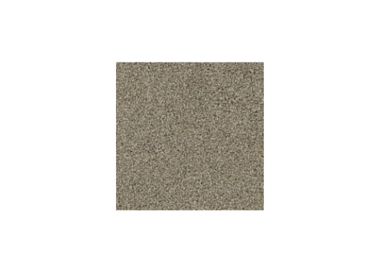 Floorever Petplus Seaview Weathered Pier Polyester Carpet