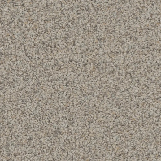 Floorever Petplus Rhodes Empire Polyester Carpet - Textured