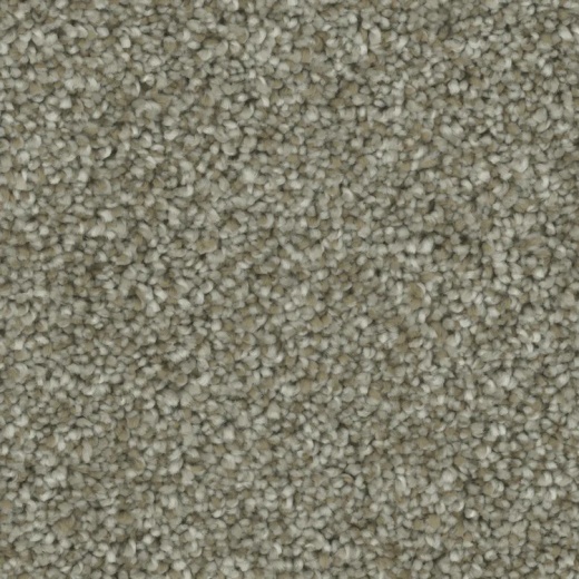 Microban Goals Cheerful Polyester Carpet - Textured