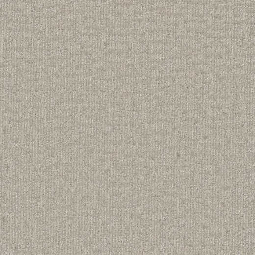 FloorEver Sonder Purpose Polyester Carpet - Textured