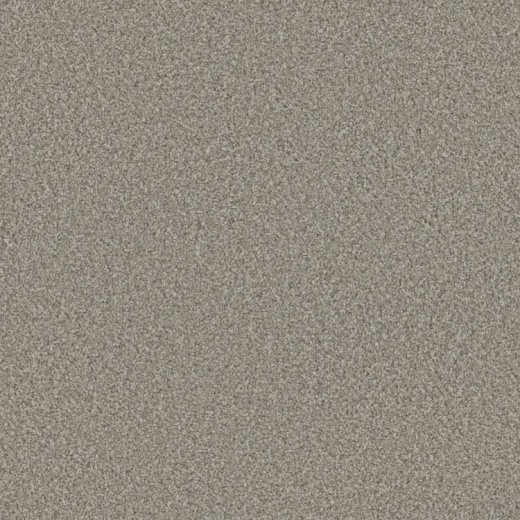 Floorever Whimsical Inspired Polyester Carpet - Textured