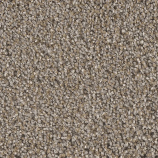 Microban Blessed Sunny Side Polyester Carpet - Textured