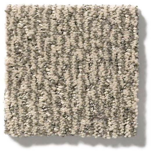 Pet Perfect Fur Ever Danville Nylon Carpet - Pattern