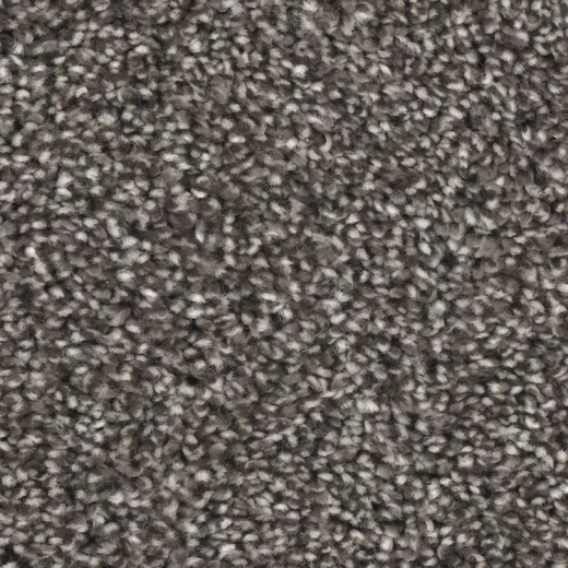 Microban Front Runner Victor Polyester Carpet - Textured