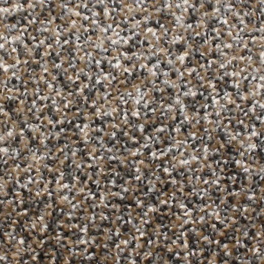 Microban Capstone Sassy Polyester Carpet - Pattern