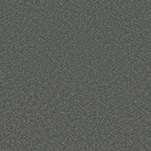 FloorEver Succeed Advance Polyester Carpet - Textured