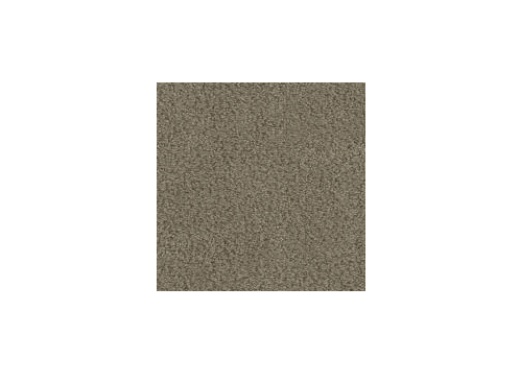 FloorEver PetPlus In The Details Genuine Polyester Carpet - Pattern