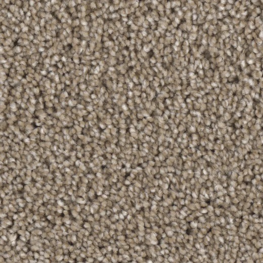 Floorever Ebullient Brilliant Polyester Carpet - Textured