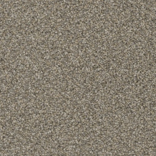Floorever Petplus Bari Balcony Polyester Carpet - Textured