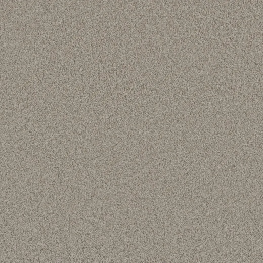 Floorever PetPlus Bougie Ornate Polyester Carpet - Textured