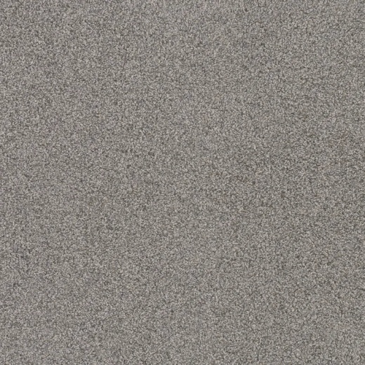 Floorever Petplus Sorrento Yacht Polyester Carpet - Textured