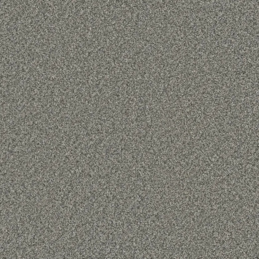 Microban Cashmere Tweed Polyester Carpet - Textured