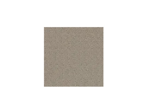 Floorever PetPlus Debut New Beginning Polyester Carpet - Pattern