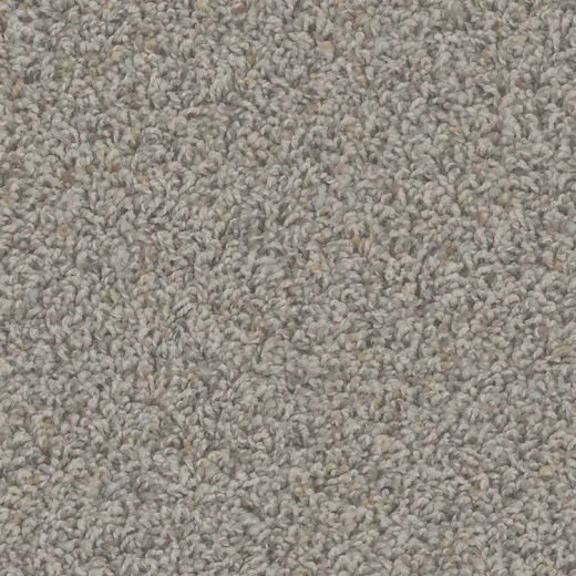 Floorever PetPlus Sparta Enchanting Polyester Carpet - Textured