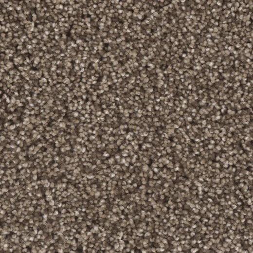 Microban Blessed Sparkling Polyester Carpet - Textured