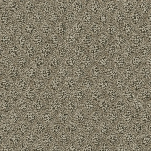 Microban Memento Trinket Polyester Carpet - Pattern