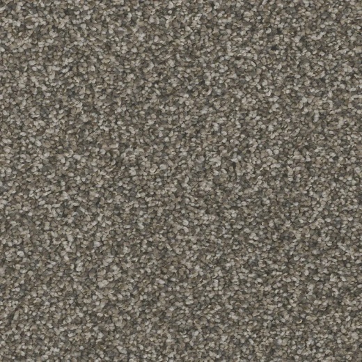 Floorever Petplus Bari Traditional Polyester Carpet - Textured