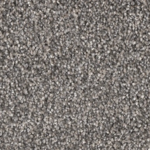 Microban Goals Believing Polyester Carpet - Textured