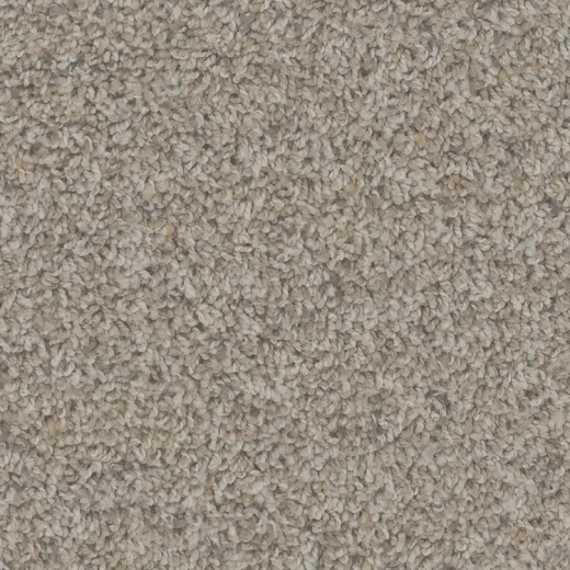Floorever PetPlus Sparta Castle Polyester Carpet - Textured