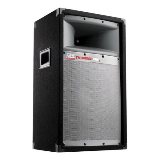 Mtx Professional DJ Tower Speaker with 10 Woofer
